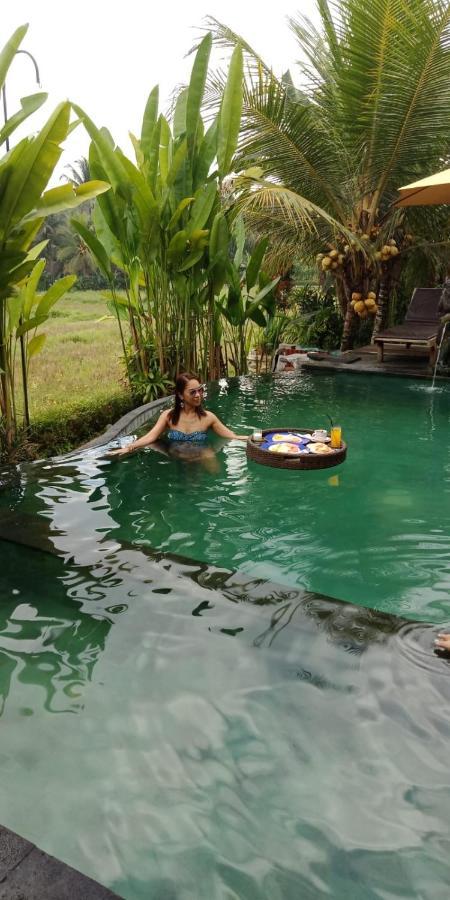 Mancur Guesthouse Ubud Zewnętrze zdjęcie