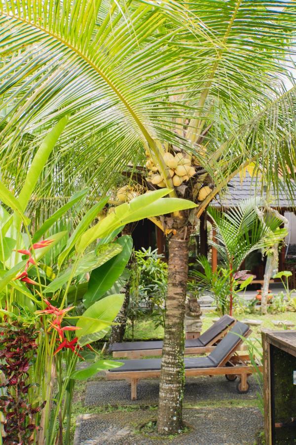 Mancur Guesthouse Ubud Zewnętrze zdjęcie