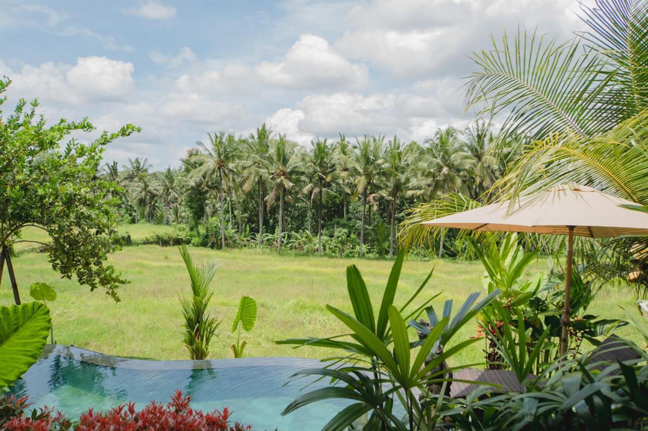 Mancur Guesthouse Ubud Zewnętrze zdjęcie