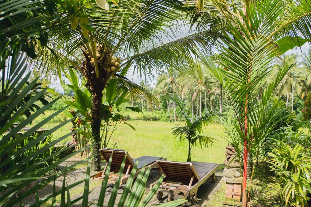 Mancur Guesthouse Ubud Zewnętrze zdjęcie
