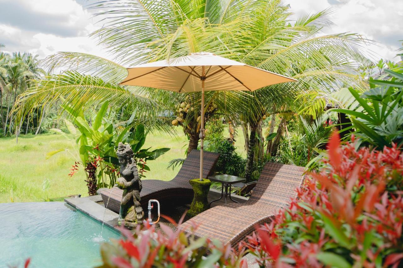 Mancur Guesthouse Ubud Zewnętrze zdjęcie