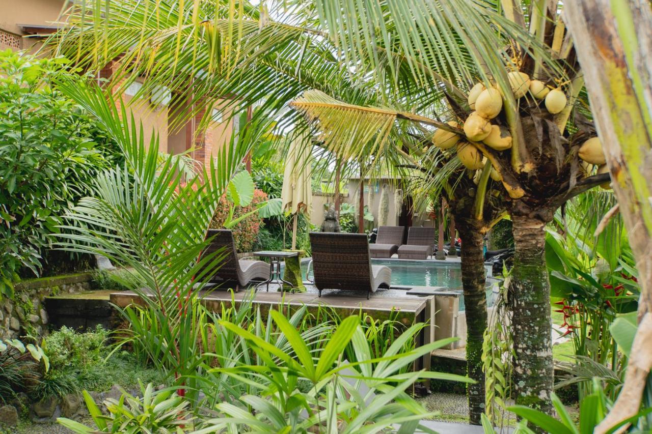 Mancur Guesthouse Ubud Zewnętrze zdjęcie
