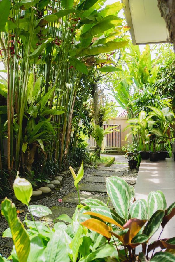 Mancur Guesthouse Ubud Zewnętrze zdjęcie