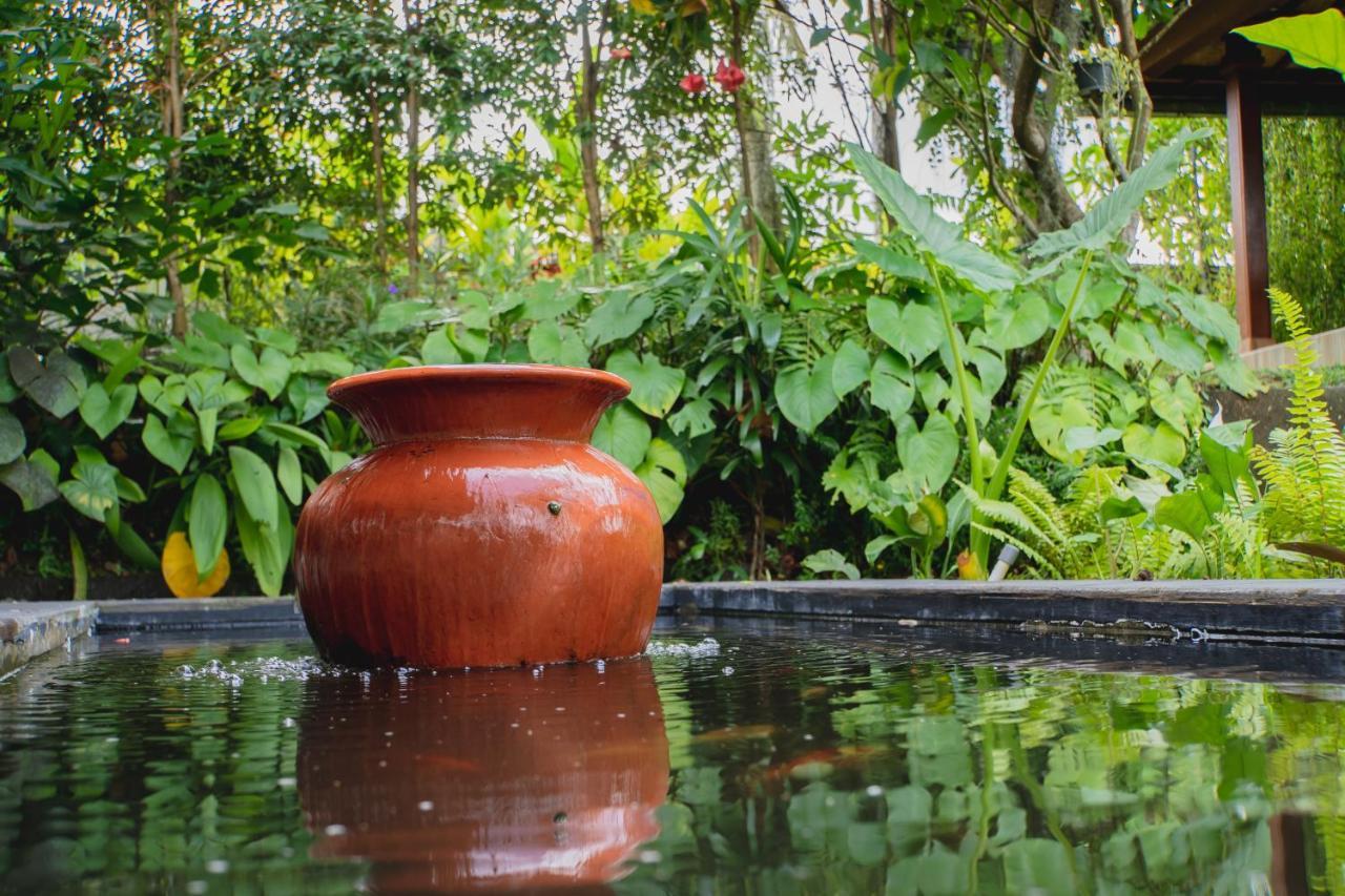 Mancur Guesthouse Ubud Zewnętrze zdjęcie