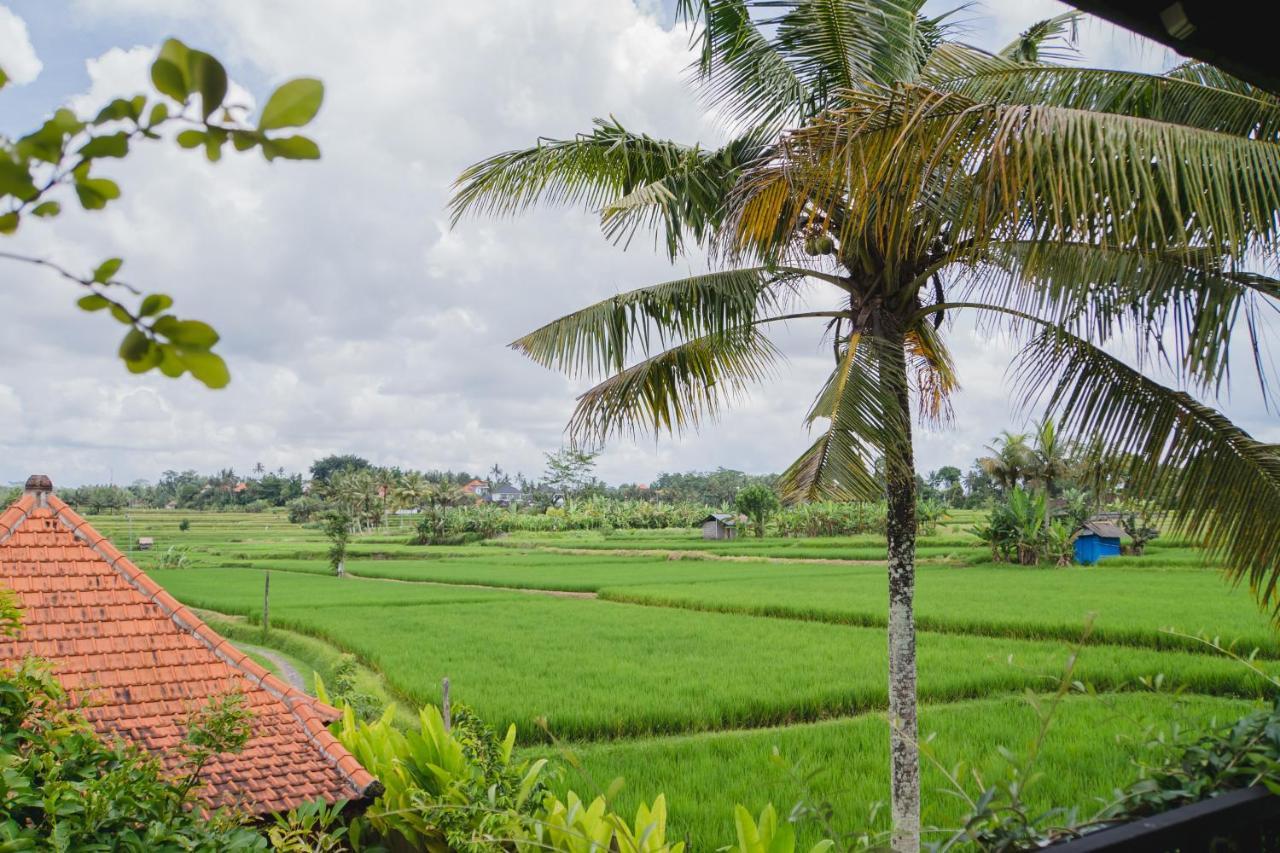 Mancur Guesthouse Ubud Zewnętrze zdjęcie