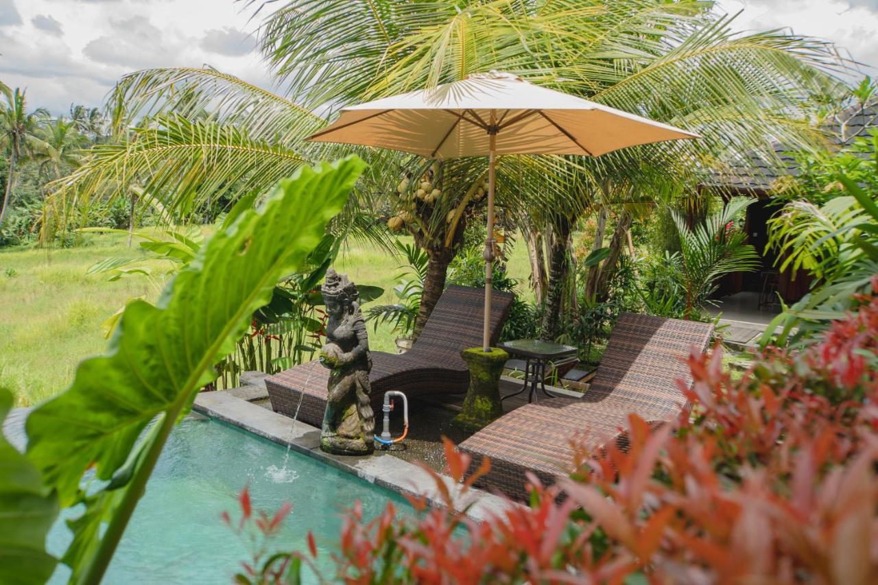Mancur Guesthouse Ubud Zewnętrze zdjęcie