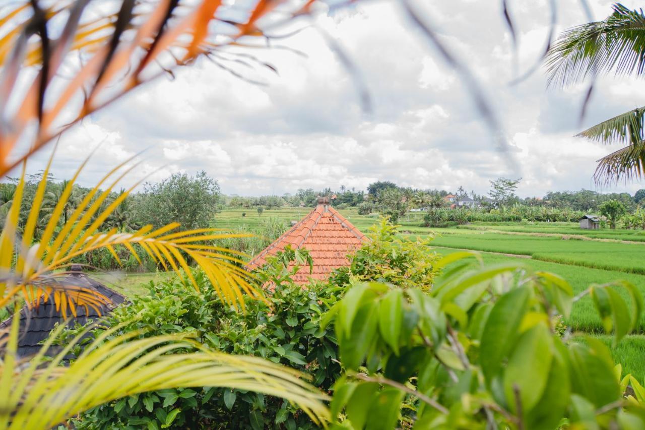 Mancur Guesthouse Ubud Zewnętrze zdjęcie