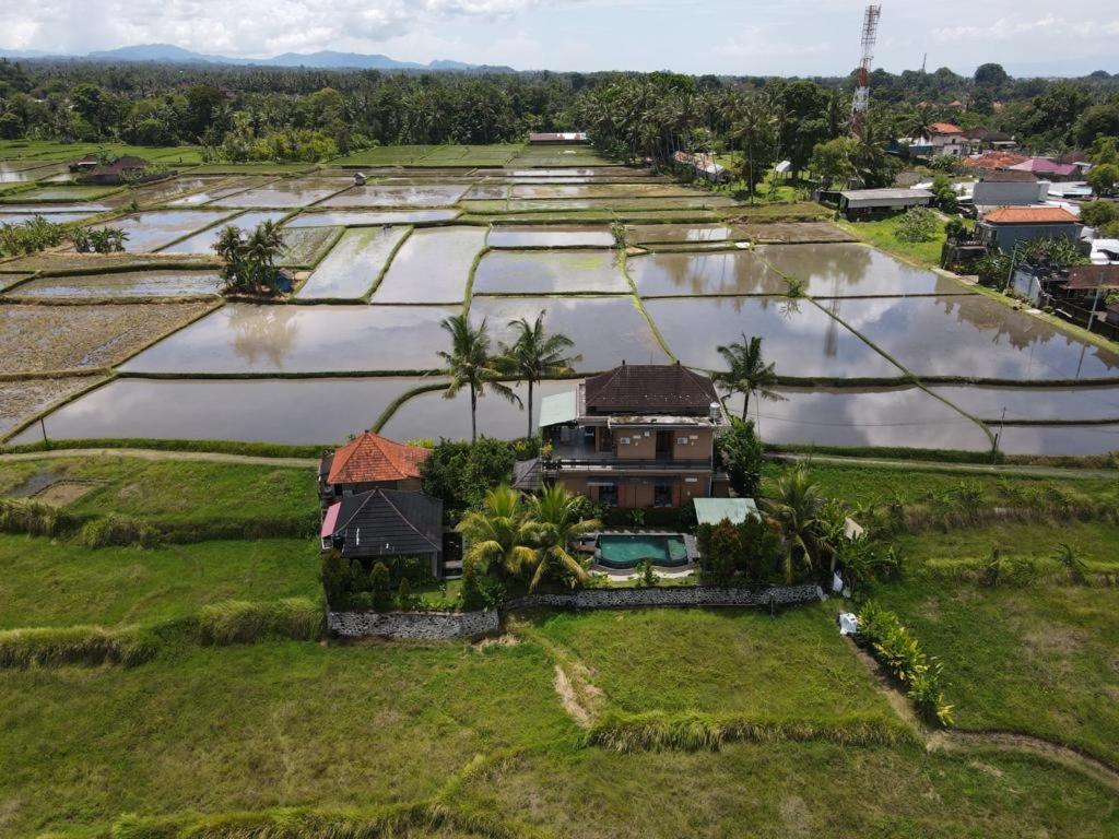 Mancur Guesthouse Ubud Zewnętrze zdjęcie