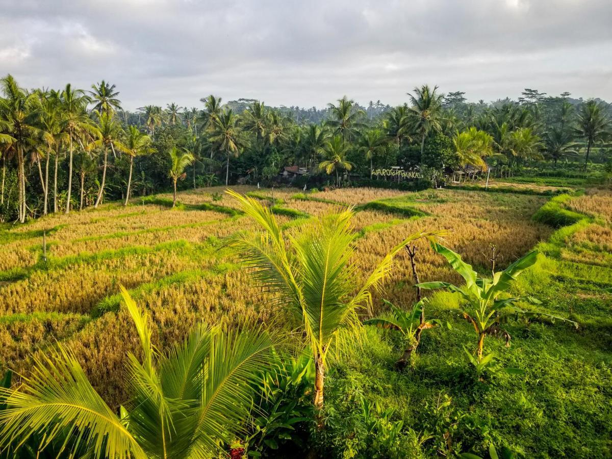 Mancur Guesthouse Ubud Zewnętrze zdjęcie